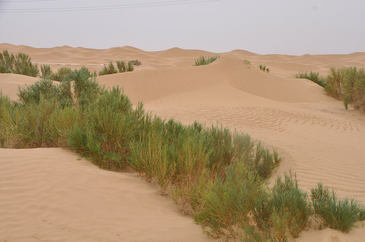Tarim Desert Highway - Desert Scene, Xinjiang, China.jpg